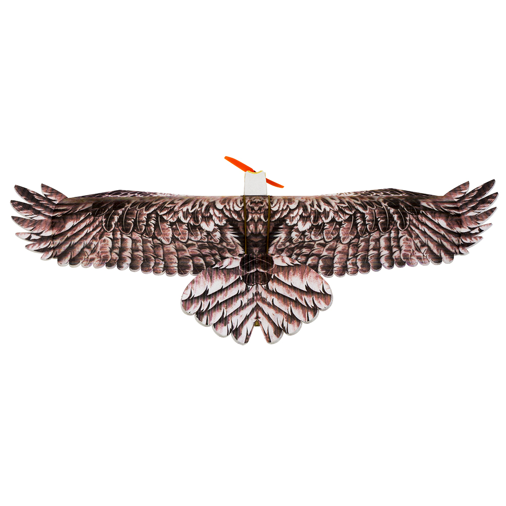 DW Hobby Eagle II EPP Самолет  – обзор и цена Rc Hobby Plane